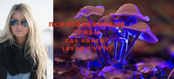 герыч Новокубанск