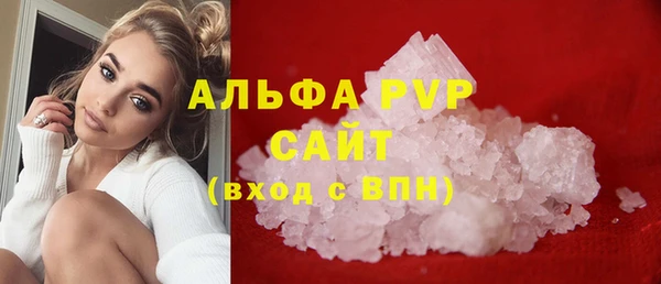 МДПВ Новозыбков