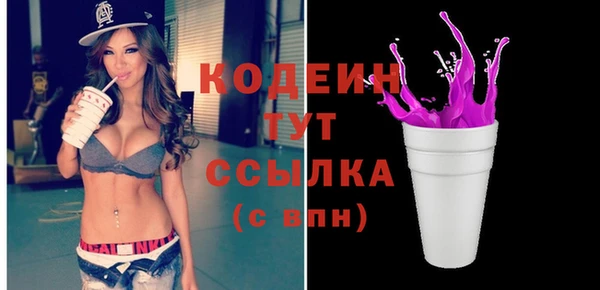 МДПВ Новозыбков