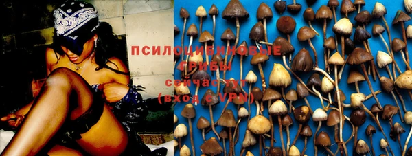 герыч Новокубанск