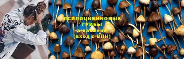 ECSTASY Новодвинск