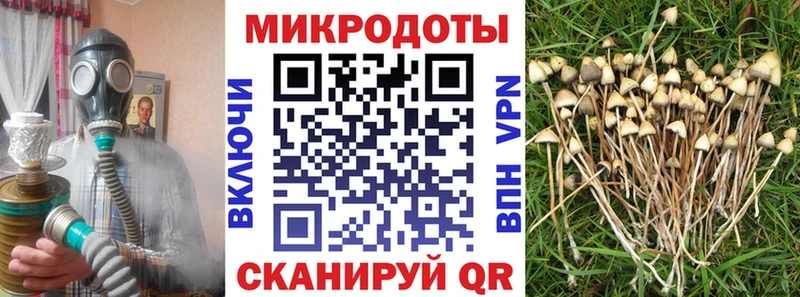 Псилоцибиновые грибы MAGIC MUSHROOMS  Иваново 