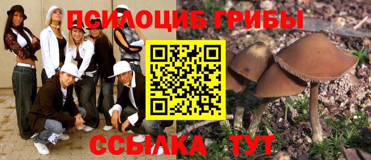 Псилоцибиновые грибы ЛСД  Псилоцибиновые грибы Psilocybe  Вход с VPN  Иваново 
