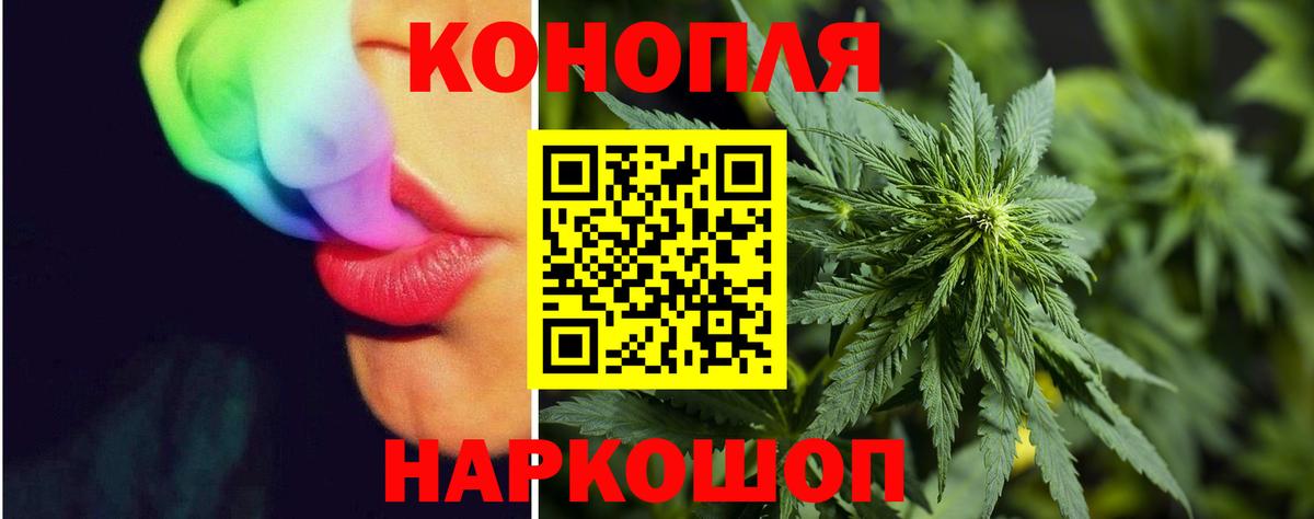 Конопля Bruce Banner Иваново